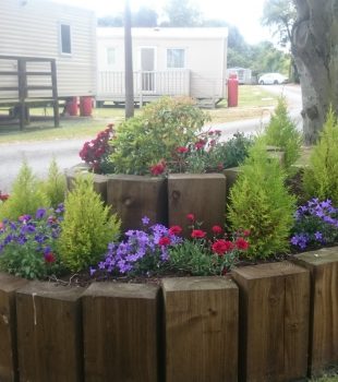 Stunning floral display ?