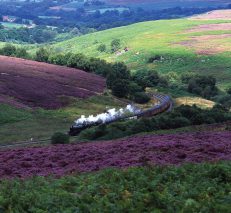 NYMR