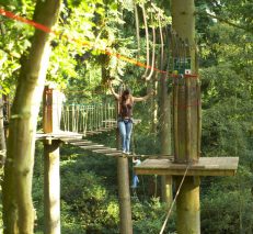 Dalby Forest