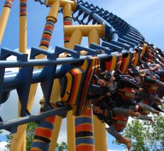 Flamingo Land